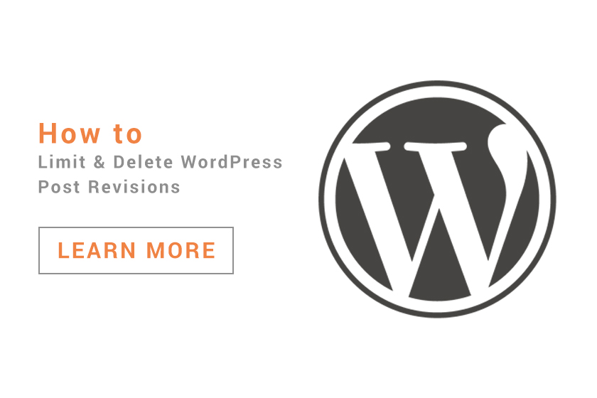 How to Limit & Delete WordPress Post Revisions