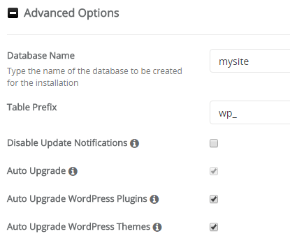 WordPress Advanced Options